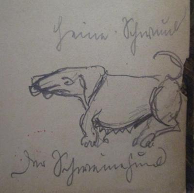  Schillers sämmtliche Werke in zwölf Bänden. Erster Band (1875);- (Schwund[?], Heine[?]), Von Hand: Name, Abbildung, Notiz; 'Heine Schwund
Der Schweinehund'. 