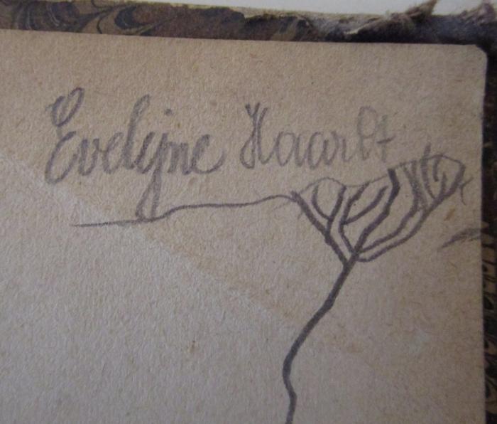  Schillers sämmtliche Werke in zwölf Bänden. Erster Band (1875);- (Haardt, Evelyne), Von Hand: Autogramm, Name; 'Evelyne Haardt'. 