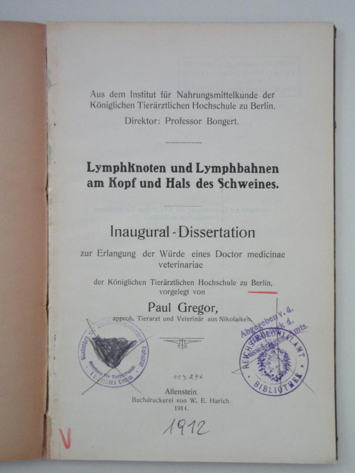  Lymphknoten und Lymphbahnen am Kopf und Hals des Schweines (1914)