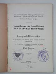  Lymphknoten und Lymphbahnen am Kopf und Hals des Schweines (1914)