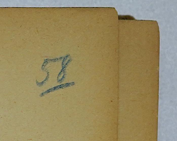 Bc 118&lt;8&gt; : Sozialismus und soziale Bewegung (1919);-, Von Hand: Nummer; '58'