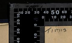 - (The National Library of Israel), Von Hand: Signatur; 'T15113'. 