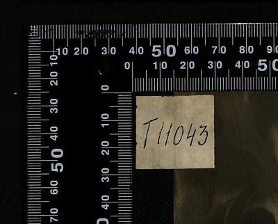 - (The National Library of Israel), Etikett: Signatur; 'T11043'. 