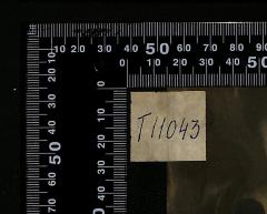 - (The National Library of Israel), Etikett: Signatur; 'T11043'. 