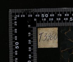 - (The National Library of Israel), Etikett: Signatur; 'T3960'. 