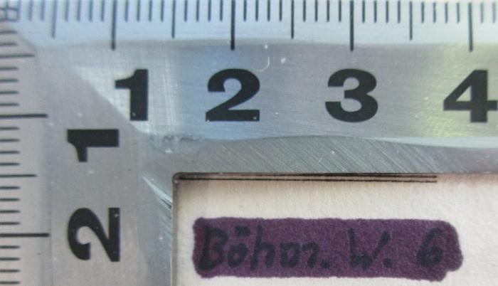 -, Von Hand: Notiz, Nummer; 'Böhm. W. 6'