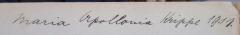 - (Maria Apollonia Krippe), Von Hand: Name, Berufsangabe/Titel/Branche, Datum; 'Maria Apollonia Krippe 1911.'. 