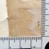 - (NSDAP-Gauarchiv Südhannover-Braunschweig), Klebespuren: Nummer; '[110]3'. 