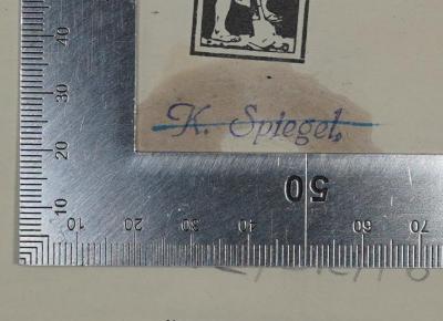 G 2/BRA 6 : Die Gewerkschaften, ihre Entwicklung und ihre Kämpfe (1914);- (Spiegel, Karl), Stempel: Name; 'K. Spiegel.'. 