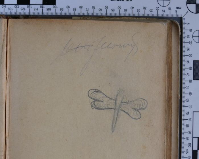 - (Illovy, Otto), Von Hand: Autogramm, Exlibris, Name; 'Otto Illovy'. 