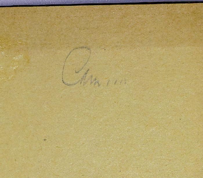 A 2 / LIL 4 : Die menschliche Gesellschaft als realer Organismus (1873);-, Von Hand: Zeichen; 'C[...]'