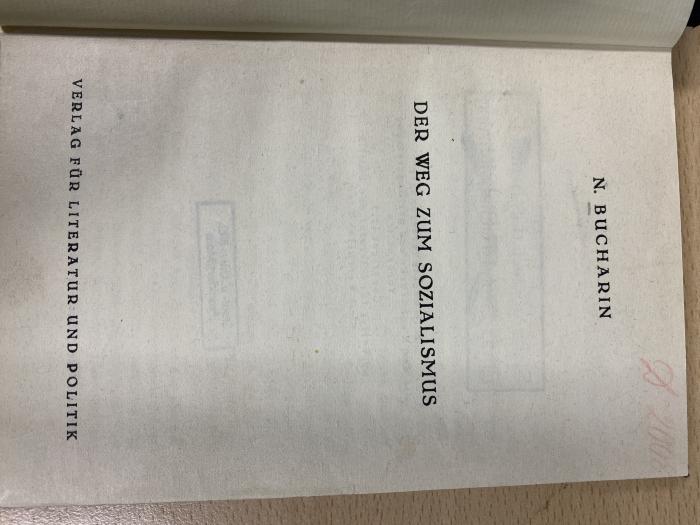00/8919 : Der Weg zum Sozialismus  (1925)