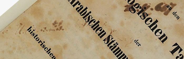 Ig 23_2 : Register zu den genealogischen Tabellen der Arabischen Stämme und Familien. (1853);-, Von Hand: Datum, Signatur, Name