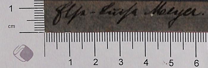 -, Von Hand: Autogramm; '"Else-Luise Meyer"' (Prototyp)