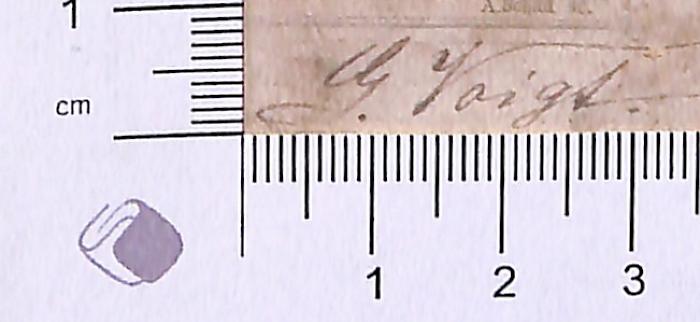 - (Voigt, G.), Von Hand: Autogramm; 'G. Voigt '. 