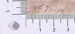 - (Voigt, G.), Von Hand: Autogramm; 'G. Voigt '. 
