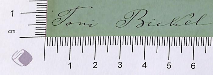 - (Bichel, Toni), Von Hand: Autogramm; 'Toni Bichel'.  (Prototyp)