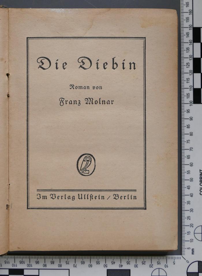  Die Diebin (1922)