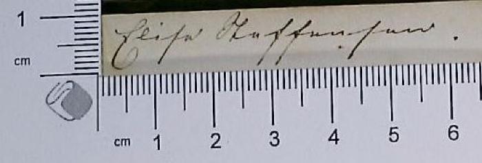 - (Neffensen[?], Elise), Von Hand: Autogramm; 'Elise Neffensen[?]'. 