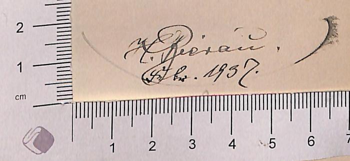-, Von Hand: Autogramm, Datum; 'H. Bierau [?] 
Febr. 1932'