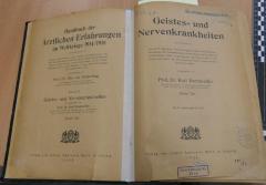 7137-41 : Handbuch der ärztlichen Erfahrungen im Weltkriege 1914/1918 : Geistes- und Nervenkrankheiten (1922)