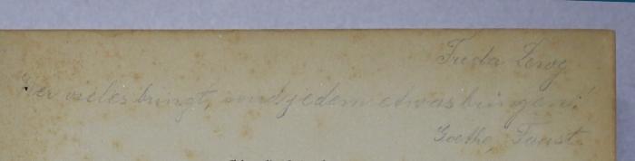 S 6 : Geschichte der Deutschen Literatur. (1894);- (Lewy, Frida), Von Hand: Name, Motto; 'Frida Lewy Wer vieles bringt, wird jedem etwas bringen. Goethe, Faust'. 