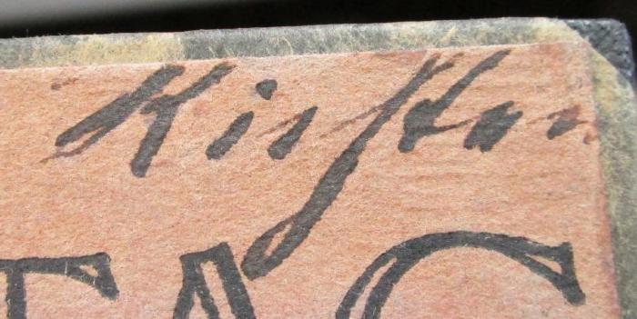 - (Richter, Gustaf), Von Hand: Autogramm, Name; 'Richter'.  (Prototyp);Fd 298: Der Alltag : Aufsätze zum Wesen der Gesellschaft (1918)