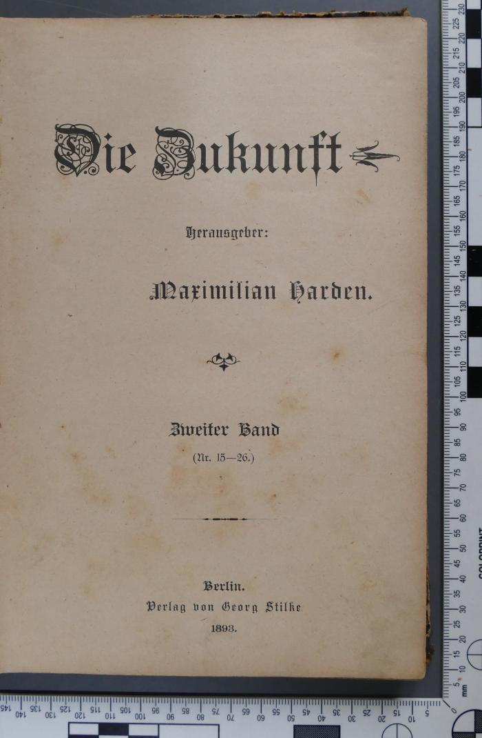  Die Zukunft (1893)