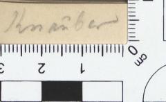 - (Knauber, Kuni), Von Hand: Autogramm; 'Knauber'. 