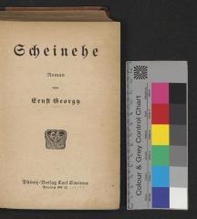 G 6884-18-2 : Scheinehe (1919)