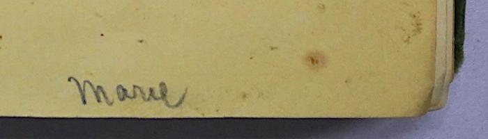 P 11 : Stadien auf dem Lebenswege (1886);-, Von Hand: Name; 'Marie'