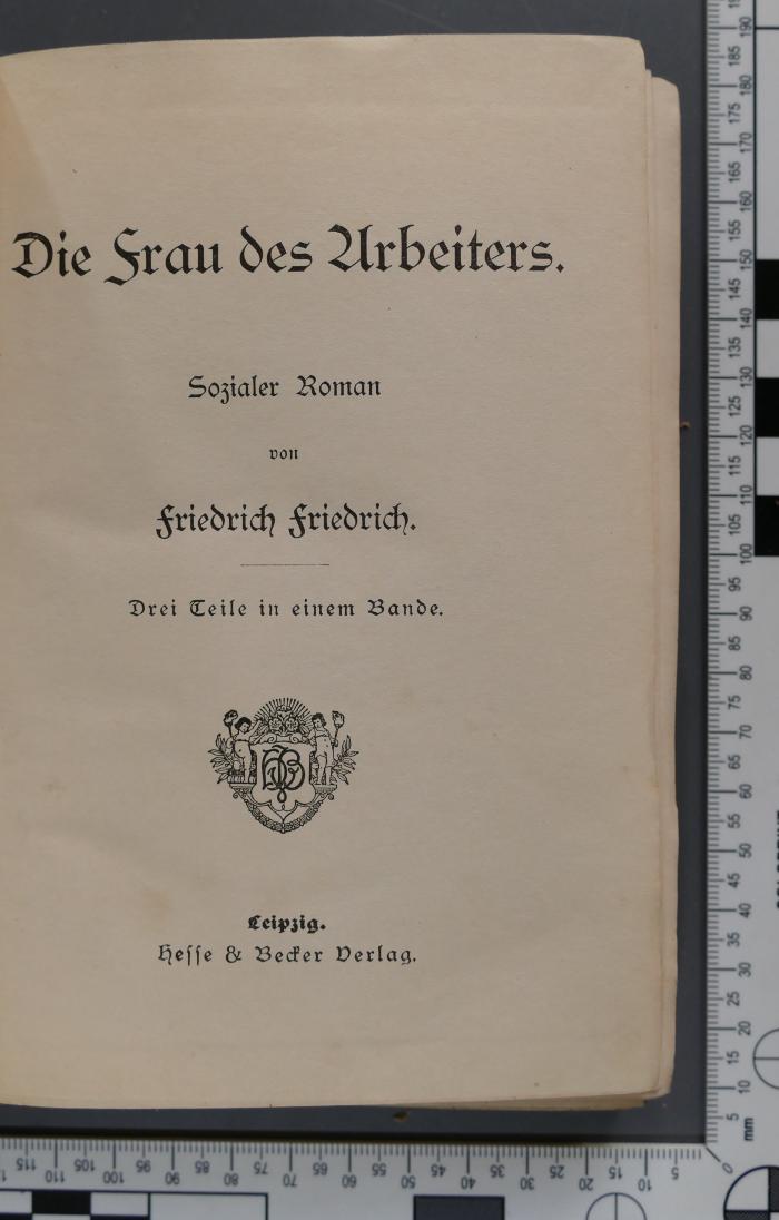 Die Frau des Arbeiters. Sozialer Roman