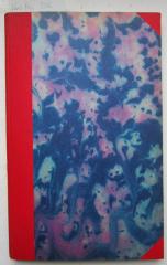 KucRc 206: Die Bayrische Räte-Republik : Tatsachen und Kritik (1920)