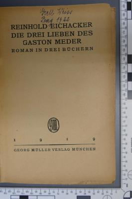  Die drei Lieben des Gaston Meder. Roman in drei Büchern (1919)