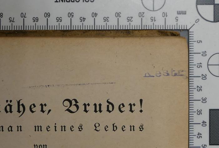 -, Stempel: ; '[...] Kestr [...]'