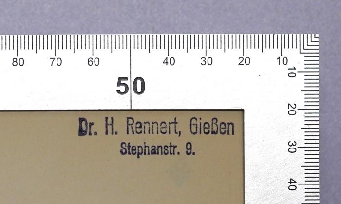 G 919-1 und 2 : Rheinkampf (1925);-, Stempel: Name, Ortsangabe; 'Dr. H. Rennert, Gießen Stephanstr. 9.'