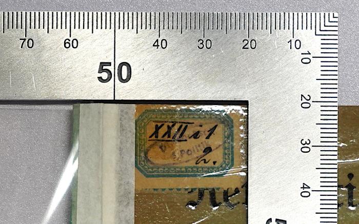 Ges 318 : Die Rechtsverordnungen des Rates der Volksbeauftragten vom 12. November 1918 (1919);- (Deutsche Hochschule für Politik), Etikett: Signatur; 'XXII [i]1 2.'. 