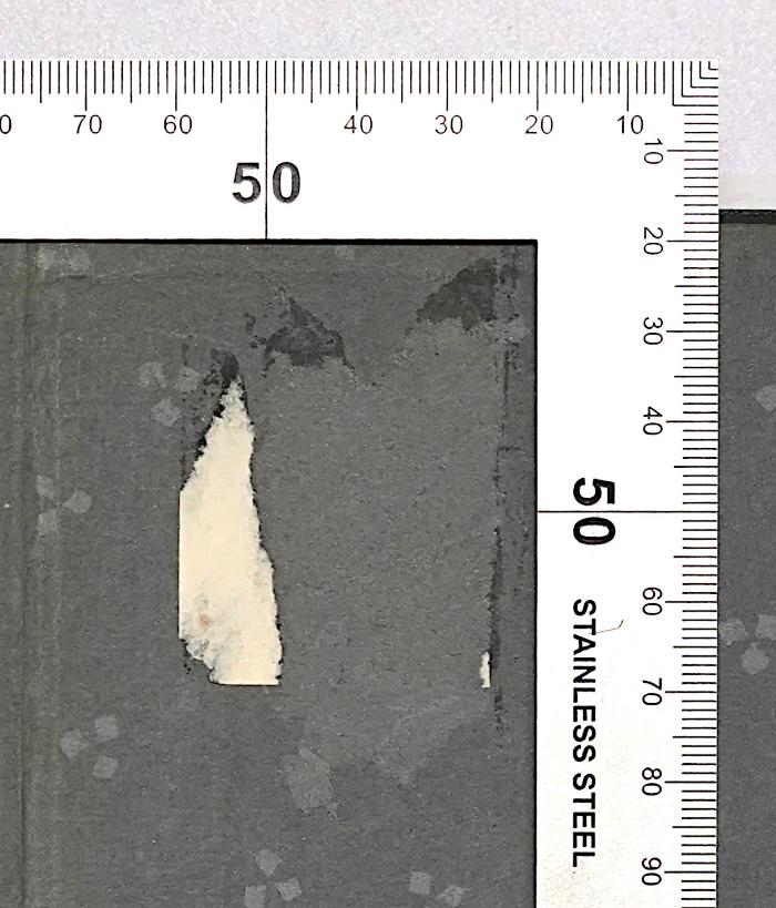 Gb 11<6> : Die Grundlagen des Neunzehnten Jahrhunderts II. Hälfte (1906);-, Ausriss: ; '[...]'