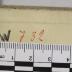-, Von Hand: Nummer; '732'