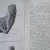 X 5806 ao 6 2. Ex.: Rauber's Lehrbuch der Anatomie des Menschen. Abteilung 6: Sinnesorgane. (1916)
