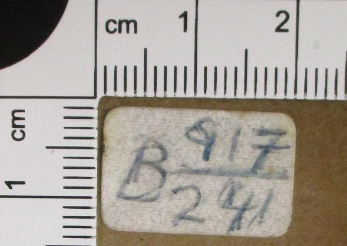 - (Dolezalek, Alexander;Gesamteuropäisches Studienwerk e.V. – Ost-West-Institut der politischen Jugend- und Erwachsenenbildung), Etikett: Signatur; 'B 917/241'. 