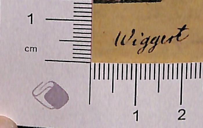 - (Wiggert), Von Hand: Autogramm; 'Wiggert'. 
