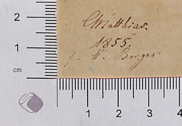 - (Borges, W.), Von Hand: Widmung, Datum; '"Matthias. 1855. für W. Borges", fliegendes Blatt recto'. 