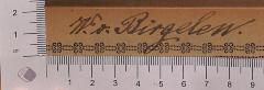 - (Birgelen, W. v. ), Von Hand: Autogramm; 'W. v. Birgelen'. 
