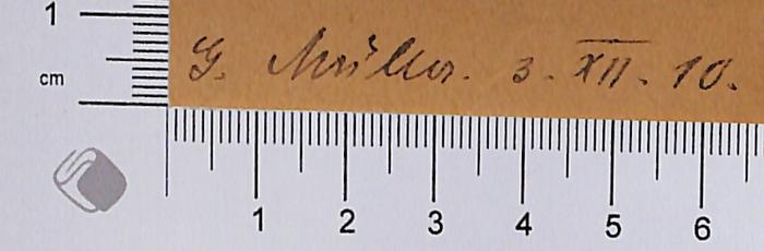 -, Von Hand: Autogramm; 'G. Müller. 3.XII.10.'