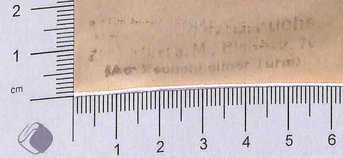 - (Fuchs, W.E. Musikalien), Stempel: Buchhändler; 'Antiquariat [unleserliches Wort evtl. Noten oder Musikalien?] Fuchs, Frankfurt a.M., Bleichstr. 70, (Am Eschenheimer Turm)'.  (Prototyp)