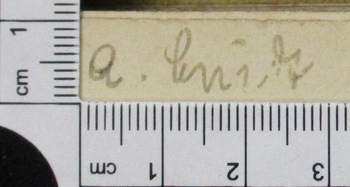 -, Von Hand: Autogramm; 'A. Enidt'