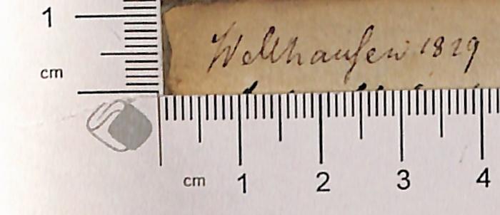 - (Welthausen, ?), Von Hand: Autogramm; 'Welthausen [?] 1829'. 