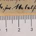 PHIL2887 : Critik der practischen Vernunft (1788)