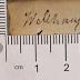 PHIL2887 : Critik der practischen Vernunft (1788)